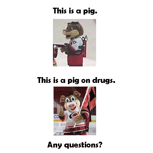 Why is the Carolina Hurricanes mascot a pig? We have the whole
